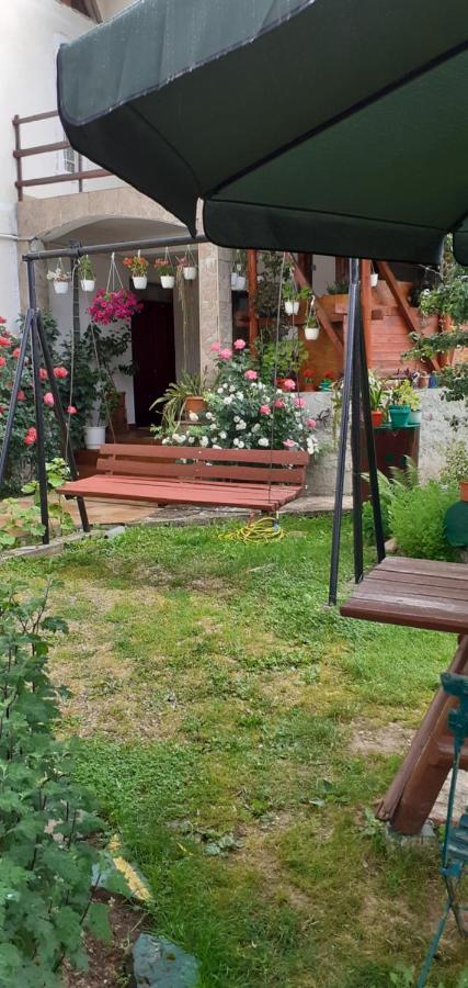Vila Nik Buşteni Habitación foto